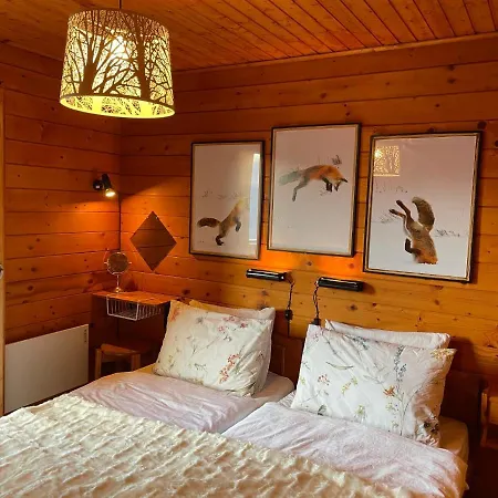 Chalet Mirabeau - Magnificent View & 4 Valley Skiing Chalet Agettes